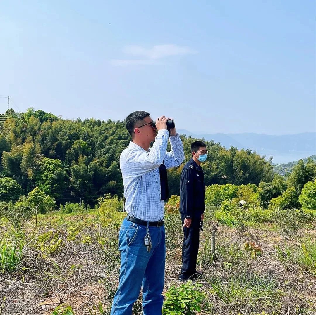 佳阳：空中巡查全面扫毒，地面踏查不留死角